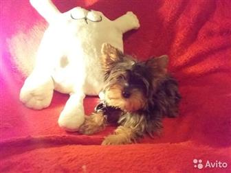 ��� ����� � ����������� , ��������� ������ � ����� � ��������,  ��������� ���� ������ ���� � ����� �� ������� � ������