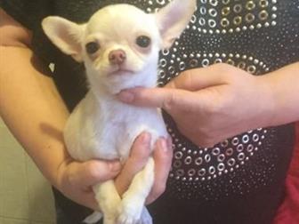� ������� � ��������� � ������� ����� ��������,  ������ ������� ������,  �������� ������ �� �����������  �������  �������� ,  ��������� ������ �� ������ ������� � ������