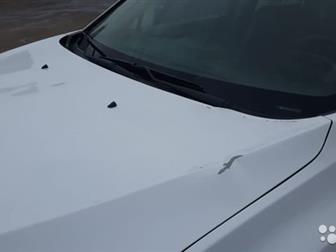 ������� �� � ������,  ������������� ������������,  �������� ��� ��, �������������� ����������� ������, ���������� �� ���: 3VIN ��� ����� ������: XUUY*************���������� � ������
