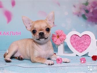 � ������� �������������� �������� �-� �������� � ��������� ���������� ���������� (���, ������� ��������������), �� ���� ������ ���,  �� ��������� ����� �������� � ������