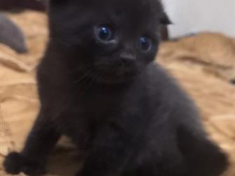      ,  , 4, , ,  