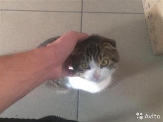    ,   ,  7   , ,   ,  