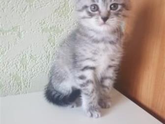      ,   20 ,     !         