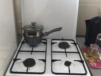  ,     ( ),       ,       ,   ,   