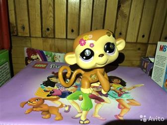  Littlest Pet Shop  ,       -   , : /  