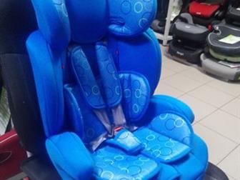  Teddy Bear ZY Isofix       ,         ,   