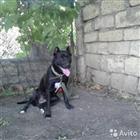 ������ �������