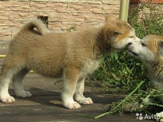 ������ �� ������ ��������� �����,  �������� 13, 0719 , �������� � ����������� ������ ���,  ������ ������� ����� � ���������� � �������, ������ ��������������, �� � ������������