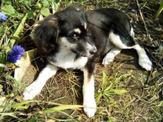 ����� ����� ����� , ����� , ����� 4� ������� , �������� , ������ , ������ ��� , ����� ��������, ���������� ������� ������� ��� ��� ��������, ��� � ��� ����, � ������������