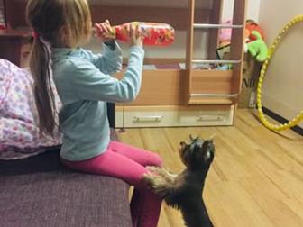 ������� ����� ���� ������� � ������������