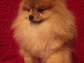 ��������� ���� ���������, ���������� ��������, ������� ����, ���� �������, ������������ ��������,  ��� 1, 5��, ���� 18��, ����� �����, ��������� ���,  ���� ������ � ������������