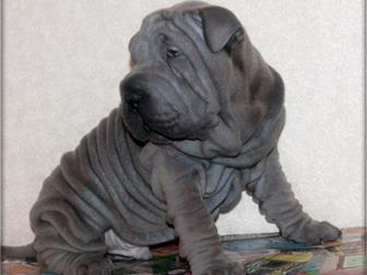 ����������  ������ ��� - ��� �������� ������ , ��� ������ - ���� �� �������� ����, ������ ����� ����������, ������������ ������ � ����������� �����������, ����� � ������������