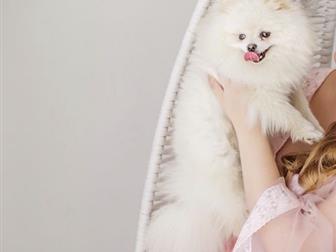 ����� � ������� ��������� �����,  ����� ����,  ���� 6*6 �������,  ����� ���������! ��� 2000��,  � �����������,  ����� �������������� � ������������, ��������� �������� � ������������