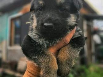 ������ ������ �������� �������, �������� 18, 06, 2019,  ���� ������ � ����, ����� ���������, � ������� ��������, �� ����� ��������� �������������� ���������� �������� � ������������