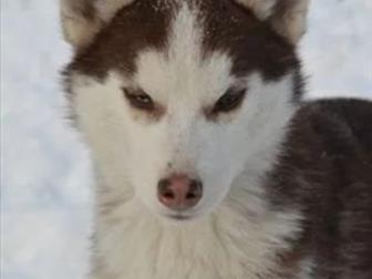 ������ ������ 6 � 7������� �������� 3 ������ � ��� ����� ,���������,������,��������, �����������,��������,�������� ������,����� ��������� � ����������,������������� � ������������