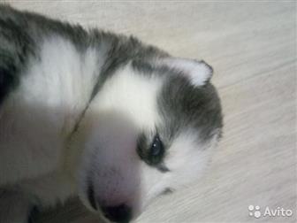 ����� �����, 27, 08, 19,  ������ ���� � ������������