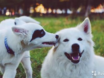 ������ �������� ������ �������� �����,  �������� � �������� �����������, ������������ ��������� ��������,  ����� ��� ������ ��������������, � ������� �������� ����� � ������������