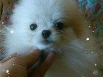 ����������� �������� ������������ ����� 5���,  ����� ���������� ������� ��� �������� �� 1400��(�����������) ���� ����� 15�� � ����� ��������, ��������� ���������) � ������������