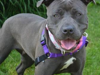 ������� �����! �����, �������, ��������, �������� ������ ������ ������ ������� ��������!) ,  ���� � ����  ����� �� ��������� ����,  , ������  3 ����� ,�������������� � ������������