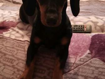 ������ ����� ����� ������� 7 ���,  ������ ��� �� �����������, �����������,  �������, ��� ���� �� ������� �������� ������� ������, � ������������