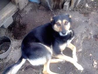 ����� � ��� ���������� ������ �� ������ ������ � ��� �� ����������� ������ ��������� �� ����� ����� � ������� ������� ������ ����� ������� ������� ���������, � ������������