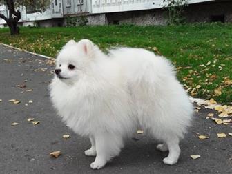 ����� ����� ������� ����, ������� ������ �������� ����������� � ����������� ��� �������� �������� ����� � ������������