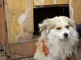 ������ ����� � ��� ��� �� ������ ����� ��� ���������� � ������� ������� � ����� � ������ ����������,  ��� ����� �������! ������� � ���� �������� ������� � ��������� � ������������