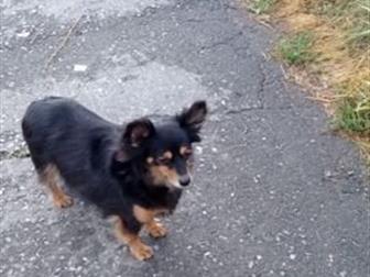 ������� � ������� � ������ ���� (� ����� ��� �����) ������� ������ ������� ���,  ������� �������, �������������, ������� 8 ���,  ?? ������� ����� ������� ������ � ������������