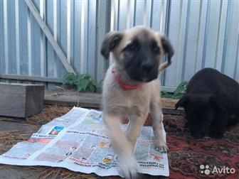 ����� �����, ����� 2 � �������, ����� ����������, �������-�������, ������-�������, � ������������