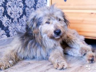 �� ������ ���� �������� ��� ����� �������� ���������, � ������������