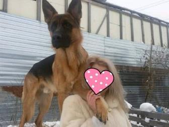 �������� ����� ������ ����������� �������! ??  ����� - �������� ������, ��������� ����������� � ���������� � ������,  � ���� ������������ ������ ��� ��������� ������������� � ������������