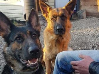 �������� ����� ������ ����������� �������! ??  ����� - �������� ������, ��������� ����������� � ���������� � ������,  � ���� ������������ ������ ��� ��������� ������������� � ������������