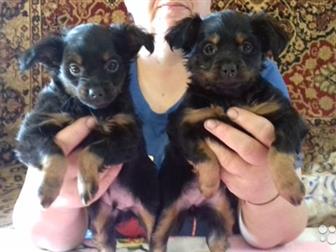 ������ ����� ���-�������, ������� � ��������, ���� �������� 05, 08, 2019�, �� ��������� ���� ���� � ����, �������� ����, � ������������