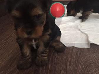 ��� ���������� ������ ���� ����� ���������! ������� � �������,���� ��������: 15, 08, 2019,  ��� �� ��������, ����������� � �������,  �������� ��������, ���������, � ������������