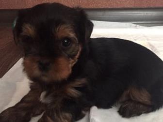 ��� ���������� ������ ���� ����� ���������! ������� � �������,���� ��������: 15, 08, 2019,  ��� �� ��������, ����������� � �������,  �������� ��������, ���������, � ������������