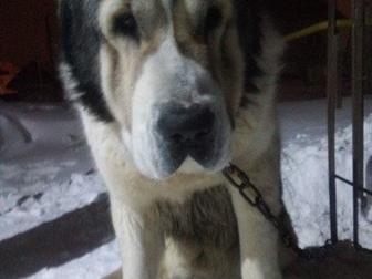 ��������� ����������� ������ ��� �����,  �������� ����������� ���� �-���� �� ��������� ��������, ���� ������ ������� �� ��������� �� ���� ������,  ����� ������, � ������������