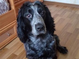 5��������� �������,  ������������, ������ ���� ������� ��� ����������� ����,   ����� ����� ����� �����!!!!!������� �� ���������� ��� ���� ���� ����� � �� ����� :) � ������������