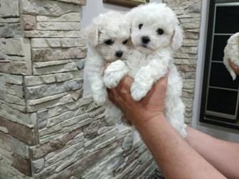 ��������� ����� �������� ����� ����� ����� � ����������� ��� �, �, 7, 08, 19 ������� � �������,  � ����� ����������� ������, �������� ������������� ������, �������� � ������������