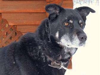 ����� - ������� � ��������� � ���� ��� � ����� �������� ���, �� �������, ��� �� ����������� ������ ������ �������!����� ��������� ��������, �������� � �������������, � ������������