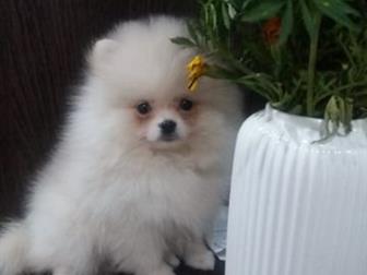 ������ �������� (������) ������� 31, 06, 19 �������� � ������������