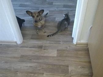 ����� ������ � ������� ���� � ����� � ��������� � ������ �����,  ����� ������� ����� ������ ����� �����,  � ������ ����� �� �����,  ������ �� ,  �����, ������ �� � ������������