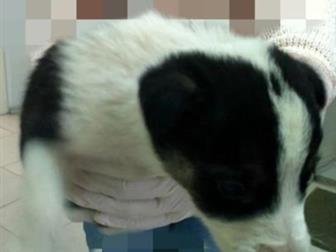 ���� ��� � ������������� ������, ��� �������!!������ ���� � �������� � �����?��� �� �� ���� �������?������� ����, � ����� ������ �� ������!������ ���� � ������ �������� � ������������