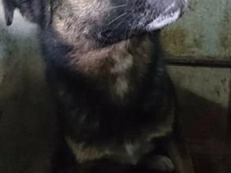 ���� � ������!������ ��� ������ ���,� � ����� ����� ��������?��� ������ ������ ������,����� �� �����������, ��� ���-�� ���-,������, ��� � ������� ������!������, � ������������