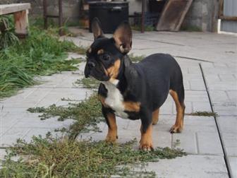 ��������� ������ (������ ��������)-������������ � �������, ����� �� �������!����� ��������,����� ����� �� �������� ����!����� ������ ������ ������������ � ����� � ������������