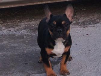 ��������� ������ (������ ��������)-������������ � �������, ����� �� �������!����� ��������,����� ����� �� �������� ����!����� ������ ������ ������������ � ����� � ������������