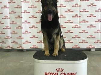 �������� ����� �������� �������,������� 22, 08, 19, �������� ������ ������(10000) � ���������� ����(8000) �� ���� ����������, ������ ��������������,���������������,���������� � ������������