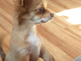 ��������� �������� �� �������� �����  ������ ����������, ��������� ���-FCI, ����������,  ����� 6?6, ������� �������, ��������, ��������, ������� � ������� (������ � ������������