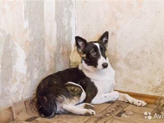 ��� ������ ��� ������, , ������� � ������� ,������� 5,5 ���, ������� �� ���� ���, ����� ������  40��,  � �����,  ����� �������� � �������� ����� ������� ����� ������� � ������������