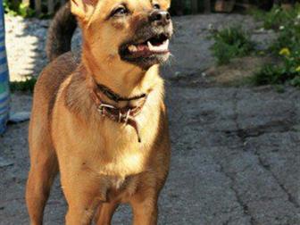 ��� ������ ��� ������, , ������� � ������� ,������� 5,5 ���, ������� �� ���� ���, ����� ������  40��,  � �����,  ����� �������� � �������� ����� ������� ����� ������� � ������������