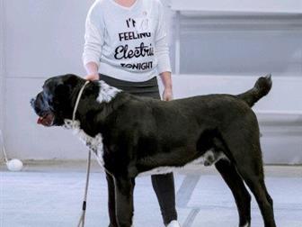 ������������ ������ ��� �����, ������ ������������� ����!���������� �������! ��������� �����,  ������: ���� ������� ������ ������� ������ ������� ���������� �������������� � ������������